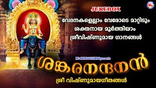 വേദനകളെല്ലാം വേരോടെ മാറ്റിടും ശക്തനായ മൂർത്തിയാം ശ്രീവിഷ്ണുമായ ഗാനങ്ങൾ  Vishnumaya Songs [upl. by Uahsoj]