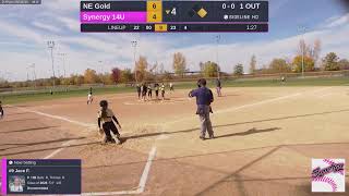 Synergy 14U vs NE Gold 20241026 [upl. by Chee659]