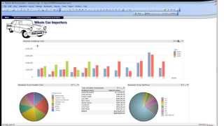 Examples of Dashboards in Qlik QlikView [upl. by Brendan]