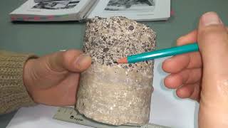 ¿Como interpretar una Roca Sedimentaria  How to interpret a sedimentary rock [upl. by Minsat]