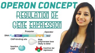 Operon Concept  Regulation of Gene ExpressionMolecular BiologyCSIRNETGATEIITJAMICARICMRDBT [upl. by Maddocks]