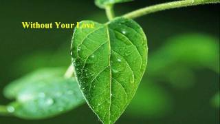 Roger Daltrey  Without Your Love w lyrics [upl. by Anurb]