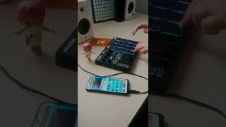 WIRELESS MIDI CONTROLLER FOR KOALA SAMPLER  Strasbourg St Denis koalasampler [upl. by Enitsud]