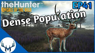 Fresh Start Ep41  theHunter Call of the Wild [upl. by Yetak]