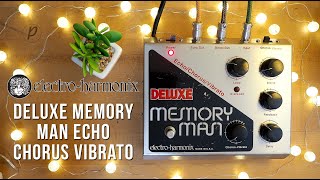 ElectroHarmonix Deluxe Memory Man Echo Chorus Vibrato [upl. by Darbee]