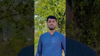 Ty bhai jirey sanu pasand kardey ny shortvideo unfrezzmyaccount tumitnajomuskuraraheho myvideo [upl. by Tenaej800]