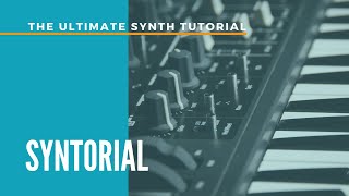 Syntorial  The Ultimate Synthesizer Tutorial [upl. by Ynohtnaed690]