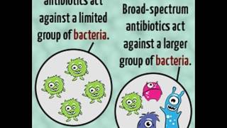 Narrow spectrum Vs Broad spectrum Antibiotics [upl. by Nodanrb]