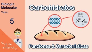 ¿Qué son los hidratos de carbono  Alimentación saludable para niños [upl. by Ardnasella]