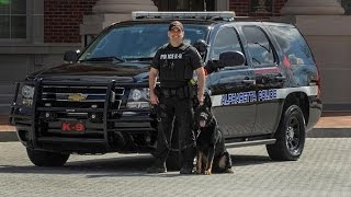 K9 officer injured in Alpharetta police chase recovering after surgery [upl. by Brawner]