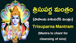 త్రిసుపర్ణ మంత్రం ¦ Trisuparna Mantram  Mantra for cleansing of Sins ¦ Namaskar TV [upl. by Ahrens]