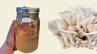 How To Make Liquid Culture For Growing Mushrooms [upl. by Eihpos]