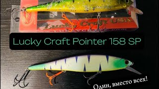 Воблер LUCKY CRAFT POINTER 158 Твичинг Троллинг [upl. by Ellerey210]