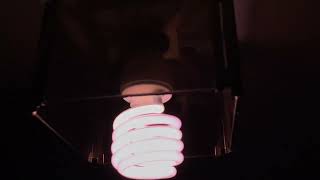 Eol olsent cfl bulb cool white 4100k 23w [upl. by Qiratla]