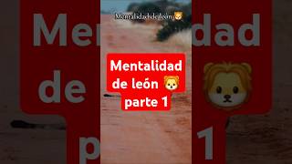 Como tener Mentalidad de un león 🦁 1 exitomental desarrollo inspiration motivation motivational [upl. by Barrett]