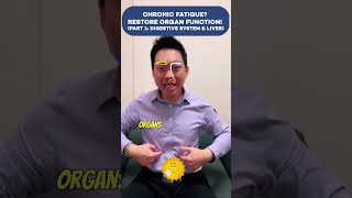 Chronic Fatigue Restore Organ Function Part 1 Digestive System amp Liver [upl. by Ahsie867]