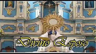 Divino Esposo  canto comunhão  por Salmos e Canções [upl. by Frissell502]