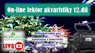 Profiplants  videoškola akvaristiky Díl 12 [upl. by Mackoff767]