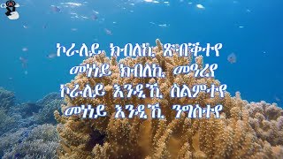 Kaleab Teweldemedhin  koraley Lyrics Video [upl. by Averell619]