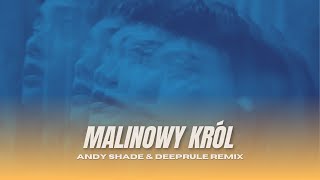 Refresh Azzja  Malinowy Król Andy Shade amp Deeprule Remix [upl. by Oigolue]