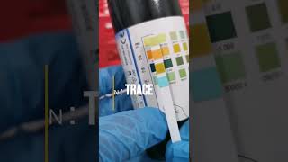 Urine dipstick test [upl. by Anilag678]