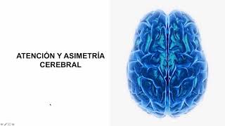 Especialización hemisférica cerebral neuropsicología [upl. by Chatwin879]