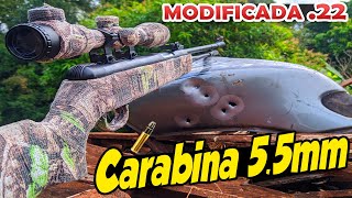 Carabina de pressão 55mm modificada pra munição 22lr Cano fixo [upl. by Akyeluz70]