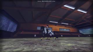 Star Stable Solo Dressage [upl. by Schnell]