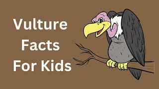 Vultures Facts For Kids [upl. by Ydnar]