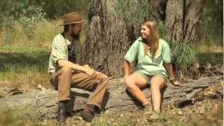 Bush stonecurlews  with Dr Dave [upl. by Baese]