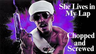 Outkast  She Lives in My Lap Chopped and Screwed [upl. by Herr]