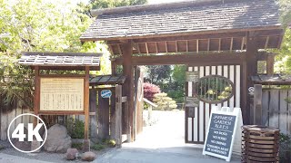 Walking in San Mateo Central Park and Downtown California USA 4K [upl. by Ennaylil]