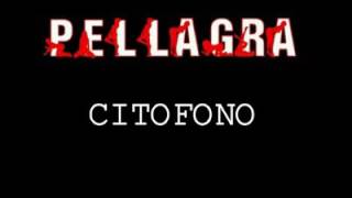 PELLAGRA Citofono [upl. by Carma]