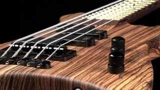 Warwick Custom Shop Buzzard NT 5 String quotZebra Woodquot [upl. by Quenby]