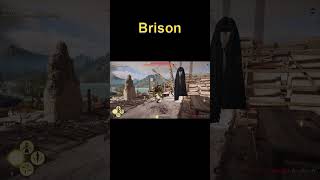 Brison gamerplayer [upl. by Nali800]