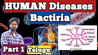 All Bacterial diseases for RRB SSC Other exams [upl. by Anhej]