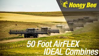 50 Honey Bee AirFLEX on 6 IDEAL combines [upl. by Bilak]