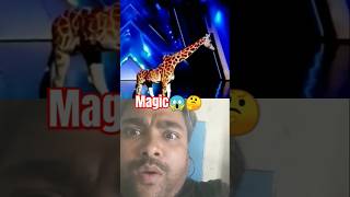 Americas Got Talent 😱🤔 Giraffe Magic got talent Duo Schumacher AGT americagoattalent magic [upl. by Nerrual]