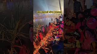 mahaparv chhath chhathpuja chhathgeet festivibes bhaktishorts festival moga punjab song [upl. by Asin]