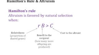 Hamiltons Rule [upl. by Iat39]