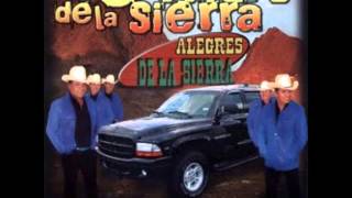 alegres de la sierra paso del nortewmv [upl. by Adnanref]