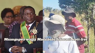 Mnangagwa accused of instructing officials to release Madzibaba Ishmael he campaigned for ZANU PF [upl. by Ylelhsa]