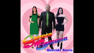 Sonora Tropicana  Querida Socia  Lyric Video [upl. by Elah303]