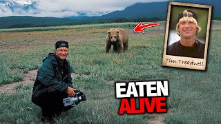 Grizzly Bear Horribly Mauled Timothy Treadwell Alive On Camera [upl. by Nicodemus232]