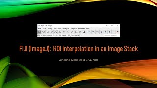 FIJI ImageJ ROI Interpolation in an Image Stack [upl. by Nylessej]