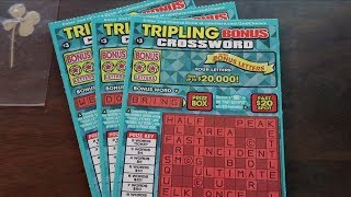 SCRATCHER WIN STRATEGY WORKING Tripling Bonus Crossword 3 California Lottery Scratcher [upl. by Kcirddehs]