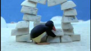 Pingu Pingu builds an Igloo [upl. by Fons]