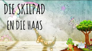 Die Skilpad en die Haas  10 min  Kinder Joga Storie  Afrikaans  Sprokie  Yoga with Annie [upl. by Anned]