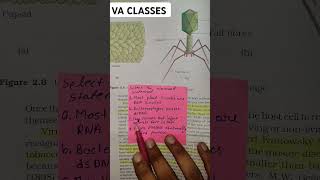 BIOLOGICAL CLASSIFICATION MCQ biology neet neetmcq neet2025 today shortvideo shorts mcq pyq [upl. by Wedurn]