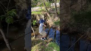 Boy Tries to Walk on Rope Bridge But Falls Right Into Water  1532384 [upl. by Thistle]